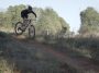 bmxer craig reynolds